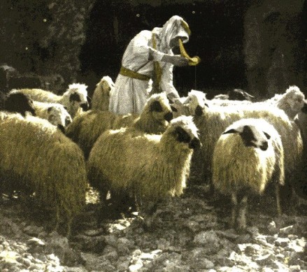 shepherd-annointing-with-oil.jpg